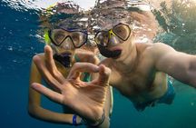Snorkeling trips to Daymaniat Islands Sharing Trip