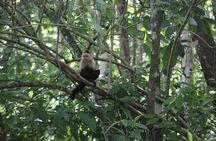 Personalized Private Tour Experience - Costa Rica