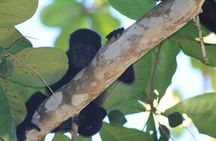 Personalized Private Tour Experience - Costa Rica