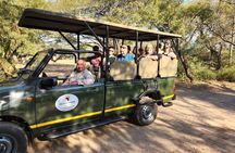 Half Day Kruger Open Vehicle Safari from Marloth Park