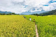 Hoang Su Phi Trekking Tour 3 days 2 nights