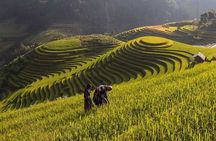 Mu Cang Chai Trekking Tour 3 Days 2 Nights
