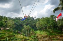 Ubud Private Full-Day Tour