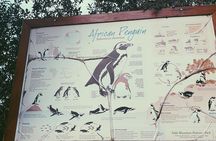  Penguins Private Tour- Cape of Good Hope & Cape Point Tour from Cape Town