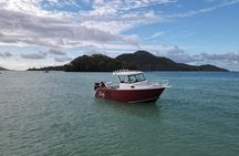 Reef Safari - Snorkeling, Fish Feeding & Lunch (Private Day Trip)