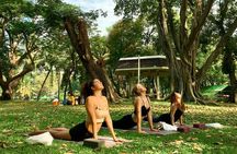 Yoga in the Park Thailand 