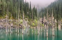 One Day Private Kolsay Lake, Kaindy Lake, Charyn and Black canyon