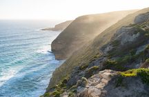 Port Lincoln Full-day Exploration Tour