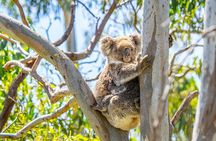 Port Lincoln Full-day Exploration Tour