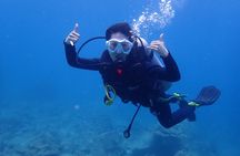 PADI Open Water Diver Course | For beginners