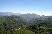 3 Nights Private Tour- Cochin/Munnar/Houseboat- Sanguine Holidays