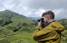 Cameron Highland Best Tour from Kuala Lumpur( Day Trip)