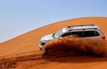 Professional Desert Safari with Camel Ride & BBQ in Bedouin Camp