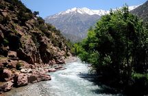 Private Excursion, Atlas Mountains, Ourika Valley