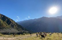 Essential Day Trip to Ala Archa National Park