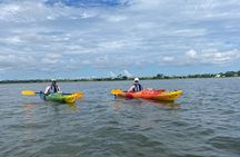2 Hours Shem Creek Safari Kayak Tour