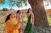 Wine Tasting Tour in Santa Ynez Valley (All-Inclusive & Full-Day)