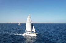 Catamaran Half Day - Beautiful day on the Atlantic Ocean