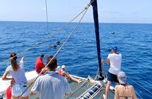 Catamaran Half Day - Beautiful day on the Atlantic Ocean