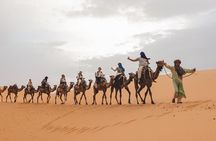 From Marrakech To Fez : Best Desert Adventure 3-Day