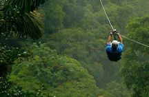 Zipline and Hanging Bridges Combo Tour in Monteverde Cloud Forest