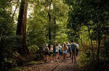 Volcano Hike, Waterfall Swim & Hot Springs Combo on Rincon de la Vieja