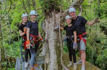 Combo Original Canopy (Tarzan Swing - Hanging bridges - Rappel & Climb tree