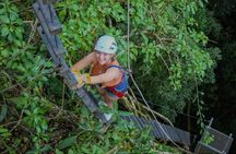 Combo Original Canopy (Tarzan Swing - Hanging bridges - Rappel & Climb tree