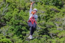 Combo Original Canopy (Tarzan Swing - Hanging bridges - Rappel & Climb tree