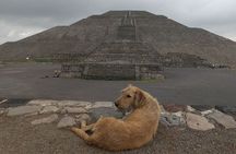 Tour to Teotihuacan from CDMX with entrances included