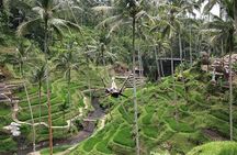 Bali Jungle Swing & Ubud Tour