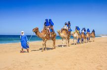 2x1 Tour: Cabo San Lucas Arch + Camels Ride + Pick up!