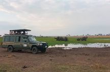 The Best 3Days Start from Mwanza to Serengeti' through Viator