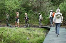  Kilimanjaro Private 2 Days Hiking Tour