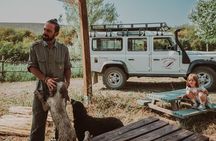 Truffle Hunt in Tuscany