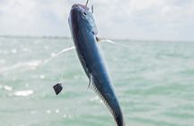 Private Fishing Tour from Isla Holbox (up to 6 pax)
