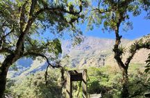 2-Day Tour of the Short Inca Trail from Cusco
