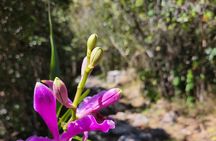 2-Day Tour of the Short Inca Trail from Cusco