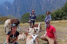 Machupicchu Private Tour 1 Day. From Cusco (From 2 people). 