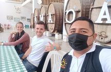 Pisco Route, Buggies and Sandboarding in the Ica Desert from Paracas