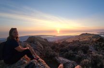 Great Salt Lake Wildlife Experience