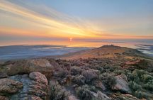 Great Salt Lake Wildlife Experience