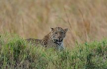 Masai Mara 3Days Safari Adventure