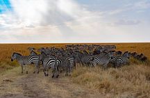 Masai Mara 3Days Safari Adventure