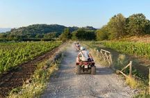 Alcantara Gorges Quad Tour 70% off road - 1 HOUR