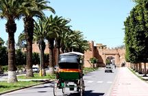 Visit Taroudant and Tiout 1 day From Agadir