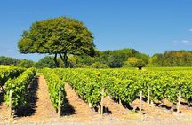 Beaujolais wine tour from Lyon half day