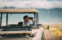 4 Days Lodge Safari in Lake Manyara, Serengeti & Ngorongoro Crater