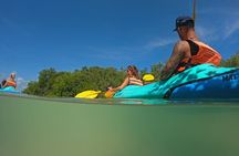 Kayaking Tour Through the Mangroves in Isla Holbox