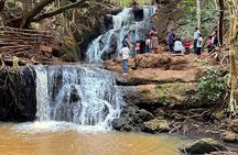 Karura Forest Nature Trail